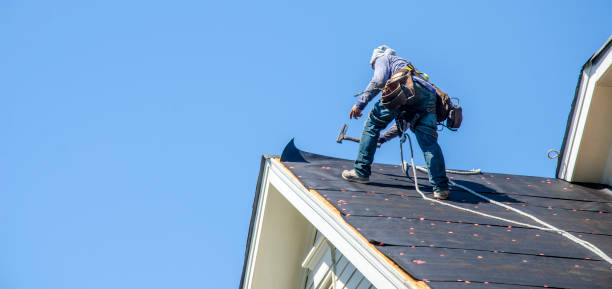 Best Roof Gutter Cleaning  in Trussville, AL